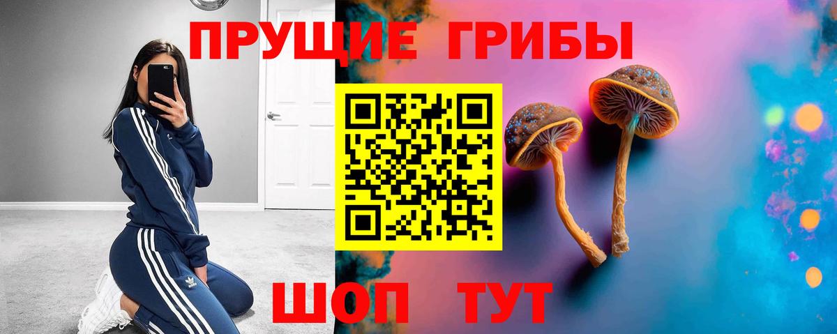 Нарьян-Мар  Псилоцибиновые грибы Cubensis  Вход с VPN 